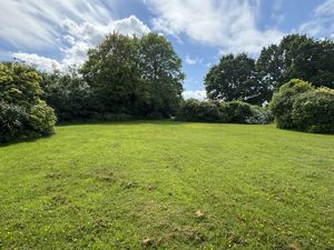 Photo 24- click for photo gallery